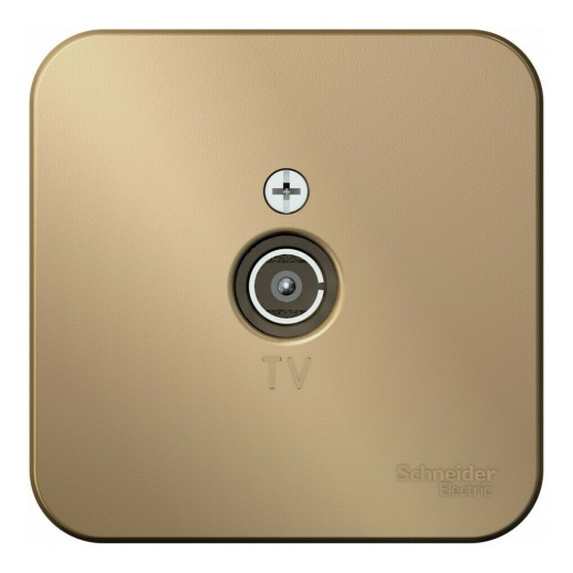 Розетка TV Systeme Electric BLANCA, оконечная, открытый монтаж, титан