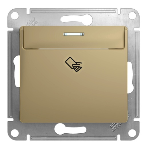 Карточный выключатель GLOSSA, титан