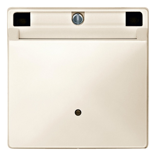 Накладка на карточный выключатель MERTEN SYSTEM DESIGN, бежевый