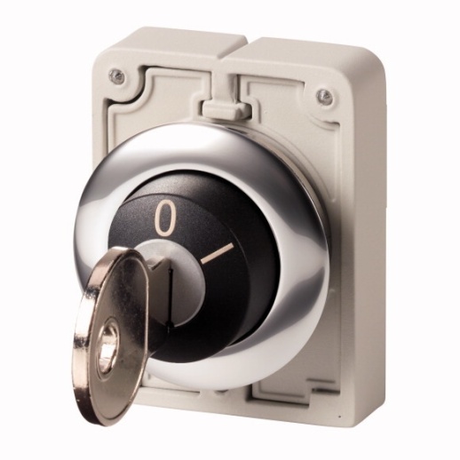 переключатель плоский 30мм, с ключем M30C-FWRS-MS8