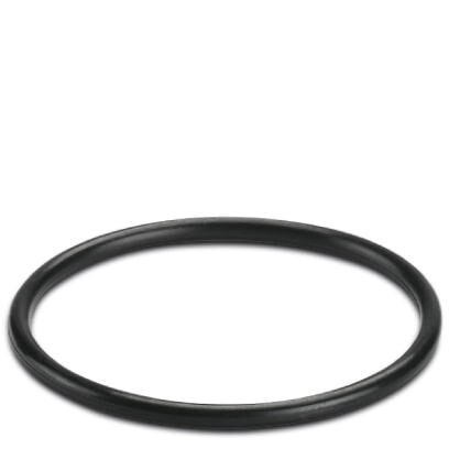 Уплотн. кольцо WP-OR PG29