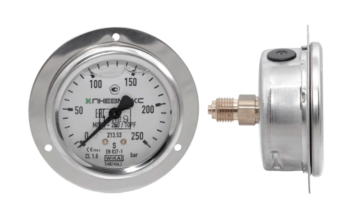 Манометр вибростойкий DUPLOMATIC MS S.p.a. M63-250/10PF_36795212_31194021