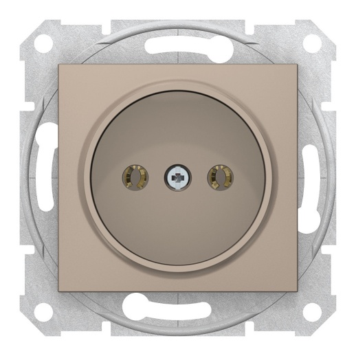 Розетка SEDNA, скрытый монтаж, без заземления, титан