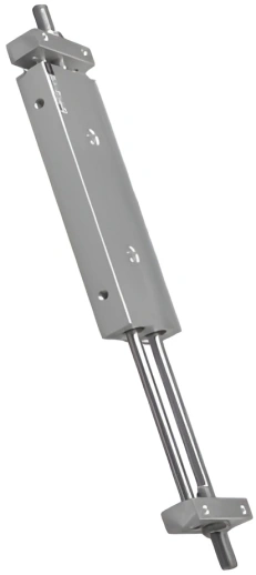 Двухпоршневой пневмоцилиндр SNS STMS 20X250